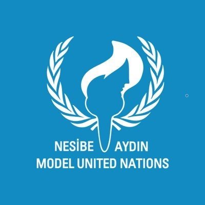 NAMUN 2020 Online