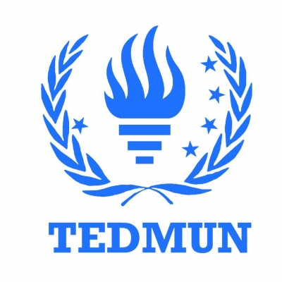 TEDMUN '23